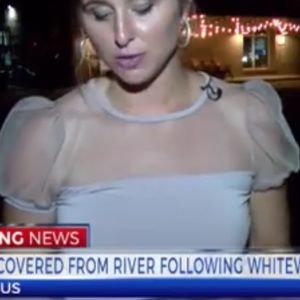 Express Sheer Shoulder Top